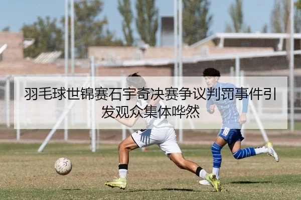 羽毛球世锦赛石宇奇决赛争议判罚事件引发观众集体哗然
